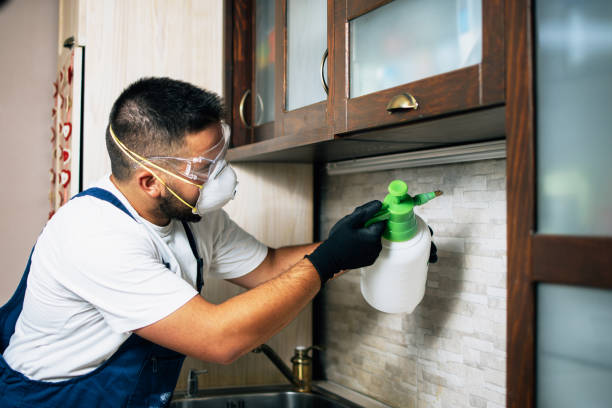  Marysville, OH Pest Control Pros