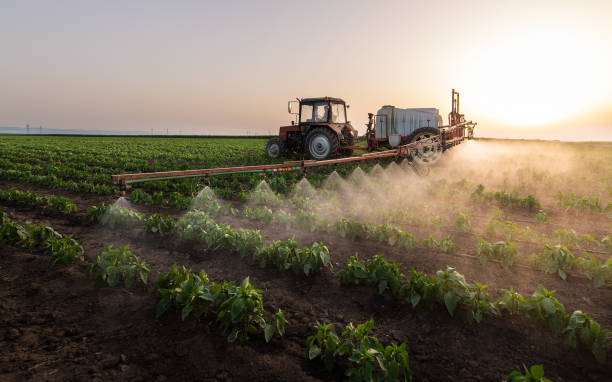 Reliable Marysville, OH Pest Control Solutions