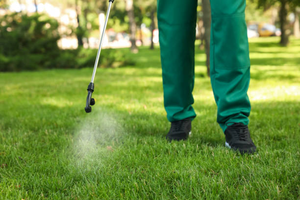 Best Emergency Pest Control  in Marysville, OH