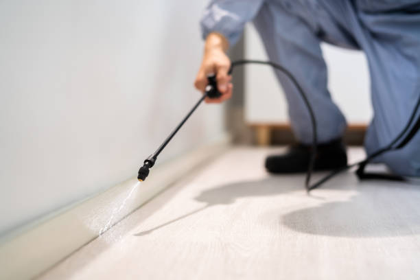 Best Wasp Removal Services  in Marysville, OH