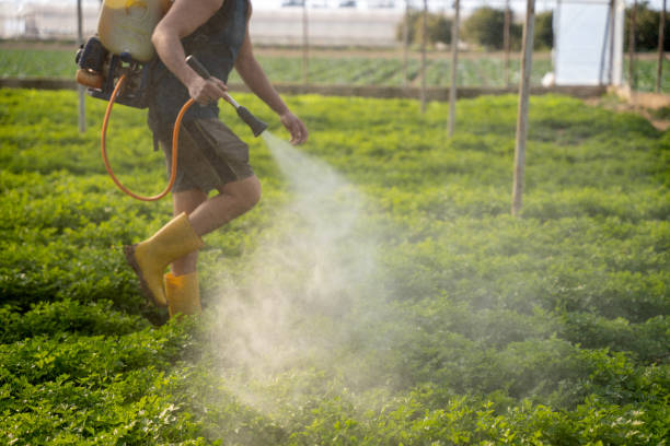 Best Pest Removal Services  in Marysville, OH