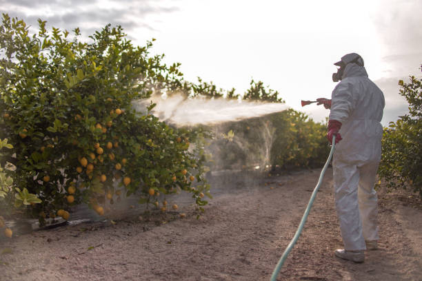 Best Wasp Removal Services  in Marysville, OH