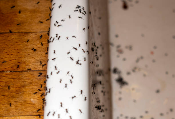 Best Wildlife Control Services  in Marysville, OH