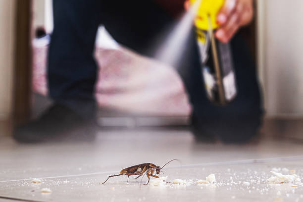 Best Pest Inspection Near Me  in Marysville, OH