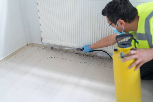 Best Residential Pest Control  in Marysville, OH