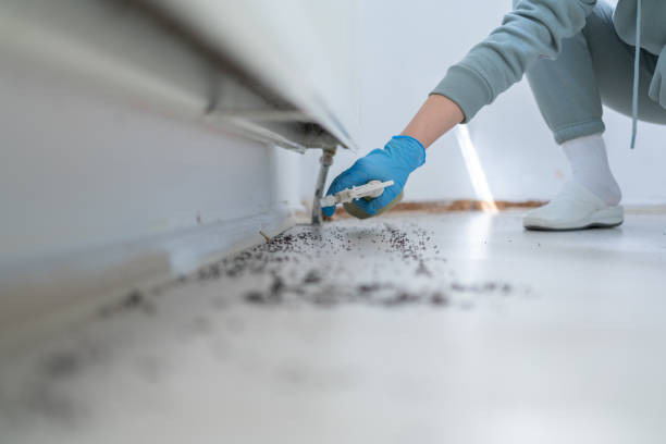 Best Rat Extermination Near Me  in Marysville, OH